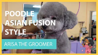 SILVER POODLE DOG GROOMING! Cute Spa Day Makeover in Teddy Bear Asian Fusion Style