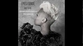 Emeli Sande - Next to Me (Richard Dinsdale Bootleg) FREE DOWNLOAD