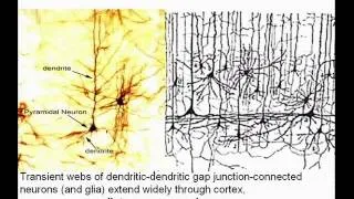 A New Marriage of Brain and Computer