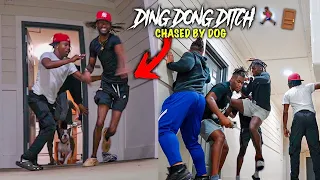 EXTREME DING DONG DITCH *CHASED BY DOG IN THE HOOD*