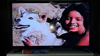 Opening To Old Yeller 1998 VHS