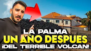 😨🇮🇨 IMPACTANTE ¡ASÍ ESTÁ LA PALMA UN AÑO DESPUÉS DEL VOLCÁN!