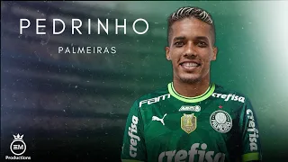 Pedrinho ► Bem Vindo Ao Palmeiras? - Amazing Skills, Goals & Assists | 2023 HD