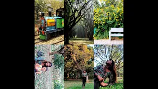 Cubbon park Bal Bhavan Bangalore | #bangalore #travelvlog  #cubbonpark #balbhavan #bengaluru #park