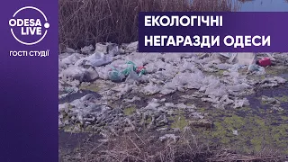 Море перетворюється на болото. Екологічні проблеми Одеси та регіону