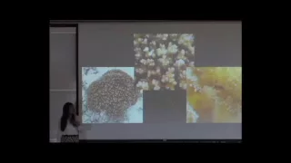 Megan Morikawa - Coral Reefs in Decline