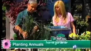 Planting Annuals
