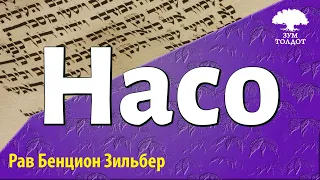 Недельная глава Насо. Рав Бенцион Зильбер