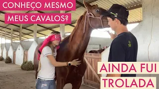 ADIVINHANDO MEUS CAVALOS VENDADA