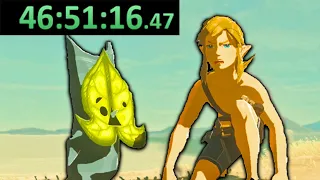 I just completed Breath of the Wild's longest speedrun