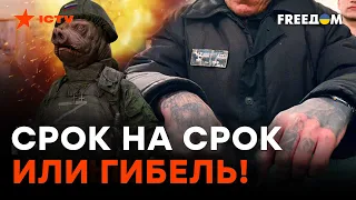 Дожить до освобождения НЕ ПОЛУЧИТСЯ! Зекам ГРОЗИТ НОВЫЙ СРОК за ОТКАЗ воевать