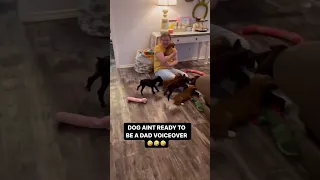 DOG AIN'T READY TO BE A DAD VOICEOVER!! 😂😂😂