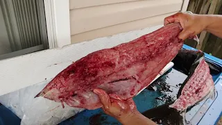 The EASIEST way to fillet a Cobia