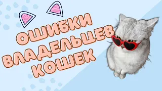 Ошибки владельцев кошек / Смешные коты - Майя #кот #кошка