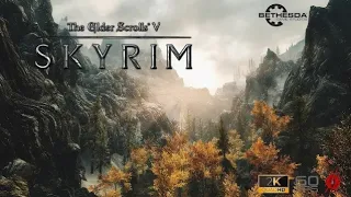 The Elder Scrolls V: Skyrim - Special Edition. Первое прохождение. Без комментариев - Часть № 32