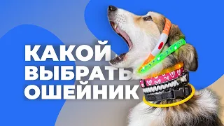 КАКОЙ ОШЕЙНИК ДЛЯ СОБАКИ ЛУЧШЕ? 🐕 Все про ошейники, безопасность, какие бывают, материал, размер 🐩