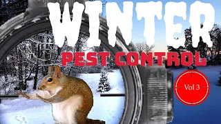 Winter Pest Control - Vol 3 - EDgun Leshiy, Leyla, R5M and ATN X Sight 4K Pro