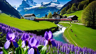 🇨🇭 🌸LAUTERBRUNNEN VALLEY | MOUNTAIN VILLAGE GIMMELWALD | PARADISE | SWITZERLAND | 4K HDR