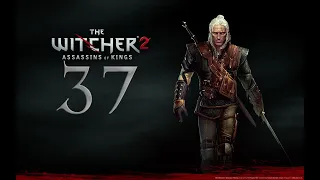 Напряжение на переговорах (The Witcher 2 № 37)