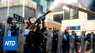 72 people injured in HK protest, police fire rubber bullets