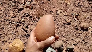 Quebrando pedras vulcânicas para ver se tem diamante