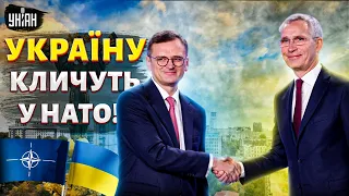 Україну кличуть у НАТО! Євроатлантичне майбутнє: коли це станеться
