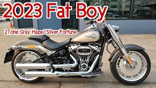 Fat Boy 2023 2Tone Gray Haze / Silver Fortune Walkaround Close up details