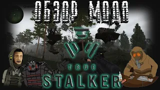 ☢️[Обзор] TRUE STALKER / Мод тру сталкер