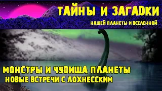 Новые встречи с лохнесским чудовищем  Самые шокирующие гипотезы