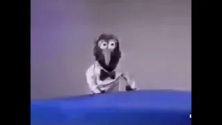 the most cursed muppets clip ever (gonzo says guilt)