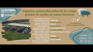 Impactos socioambientales de las mega granjas de cerdos en zonas kársticas