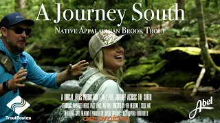 Brook Trout, Art, Fly Fishing, and Hiking in The Smoky Mountains: Pt1 "A Journey South"