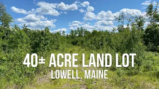 40± Acres of Land For Sale | Maine Real Estate