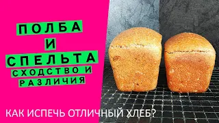 Полба и Спельта: разница и сходство | Как испечь идеальный хлеб?