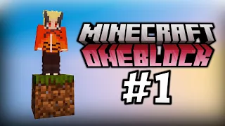 Minecraft Mbijetimi ne nje BLOCK te Vetem!!! [OneBlock:Survival #1]