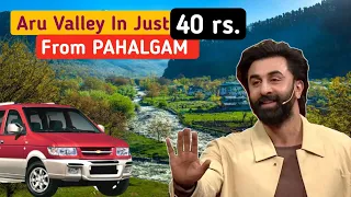 How To Reach Aru Valley From Pahalgam In Just 40 Rs. | By Sharing Cab | Pahalgam Travel Guide