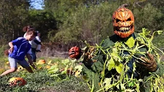 Pumpkin Patch Killer Halloween Hidden Camera Practical Joke