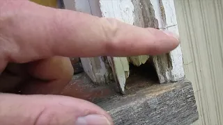 How to Repair Rotted Door Frame