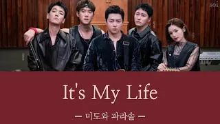 It's My Life ＿ 미도와 파라솔 【賢い医師生活2 OST】