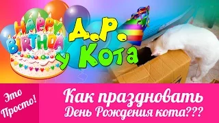 День Рождения У КОТА! Идеи Для Дня Рождения. Приколы с кошками | Это Просто | Лана Мейнарт