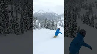 Powder Tips - With Nev