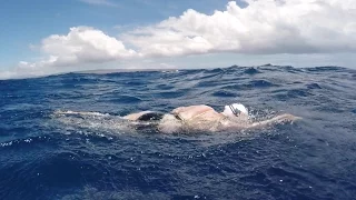 Woman survives shark scare during solo swim of Ka'iwi Channel!