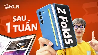 Mình review Galaxy Z Fold5 sau một (hoặc nhiều hơn) tuần! | Rương Công Nghệ