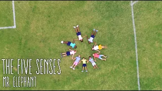 The Five Senses song | family music | school | home | reggae | kids