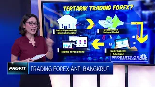 Trading Forex Anti Bangkrut