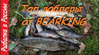 Топ воблер от Bearking.  Ловля щуки и окуня по лапухам.  Спиннинг поздней осенью.