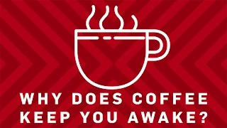 Why Does Coffee Keep You Awake? | Earth Science