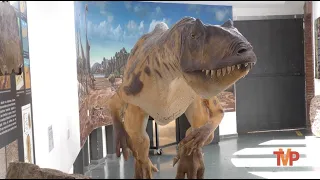 Ponencias en el Museo del Dinosaurio con motivo del Día Internacional de los Museos