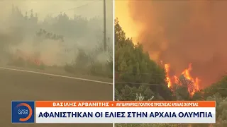 Αντιδήμαρχος Αρχαίας Ολυμπίας: Αφανίστηκαν οι ελιές από την Αρχαία Ολυμπία| Κεντρικό δελτίο| OPEN TV