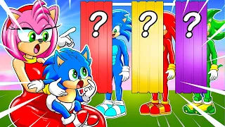 Who Is The Real Sonic Family?!? Sonic Don't Choose Wrong Challenge | Sonic the Hedgehog 2 Animation